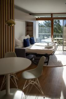 Design Apartment am Ossiacher See - Winterurlaub an der Gerlitzen - 9