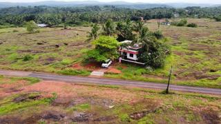 Golden Breeze Bekal - 1