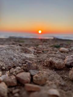 Celeste by the Sea - 4