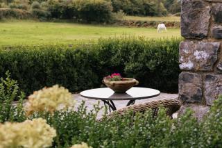 Unique Luxury Stay on Private Organic Farm in the Burren - 6