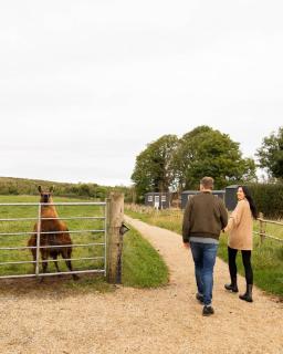 Unique Luxury Stay on Private Organic Farm in the Burren - 8