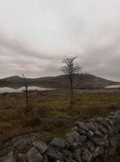 Unique Luxury Stay on Private Organic Farm in the Burren - 9