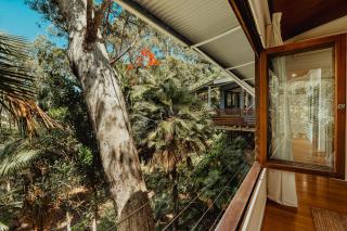 Reinwood Retreat - A home Nestled in the Treetops of a Rainforest - 3
