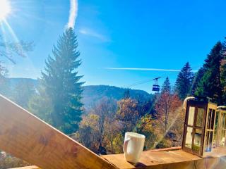 Stone Studio with jacuzzi Sinaia - 1