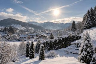 AlpResort Hubertushof Oberstaufen - Partner von Oberstaufen PLUS - 6