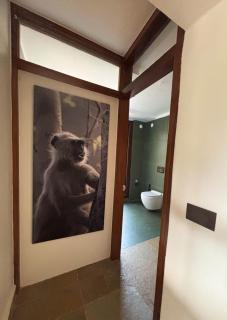 The Banyan Bandhavgarh - 8