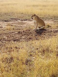 Asilia Africa - 3