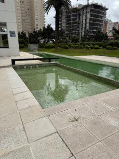 Hermoso departamento en Gala Tower - 5