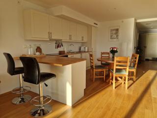 Fantastic top floor apartment in central Oslo - 1