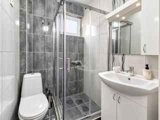 Apartman Centar Luxury Svilajnac - 3