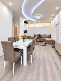 Apartman Centar Luxury Svilajnac - 9