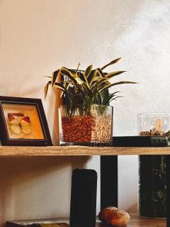 Banana Garden Room-3mins walk to the beach! - 7