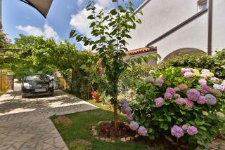 Apartments with A - C in Valbandon-Istrien 44738 - 1
