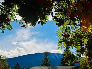 Ash Haven - Cozy Basement Suite in the Heart of Golden, BC - 2