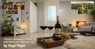 Day&Night apartment, near Cricova Wine Gallery - 9