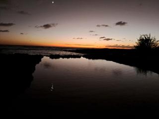Le Life Resort - 9