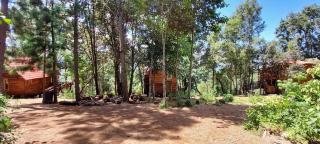 Cabaña en el Bosque de San José del Pacífico 4 - 4
