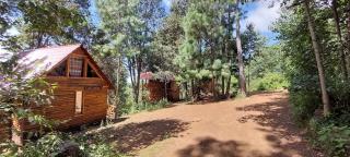 Cabaña en el Bosque de San José del Pacífico 4 - 9