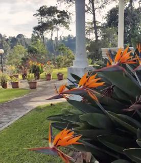 Bukit Ruil Bungalow - Strawberry Suite - 4