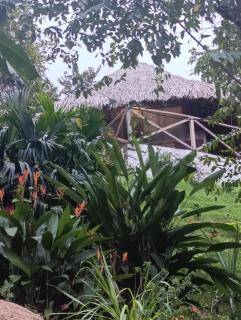 Hostal El Eden Dentro del Parque Tayrona - 8