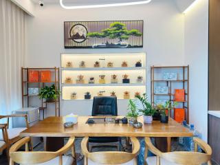 Yunpinyi Hotel Small Train Jianshui Ancient City - 1