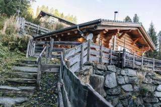 Little Badger Chalet Turracherhöhe - 4