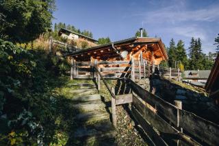 Little Badger Chalet Turracherhöhe - 2