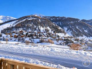Mc Conciergerie Luxury, T3 La Foux d'Allos, vue exceptionnelle D11 -  - 6