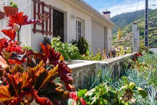 Charming house in Machico with mountain view and garden - 1