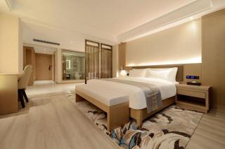 Borrman Hotel Guiyang Guanshanhu International Conference Center Metro Station - 9
