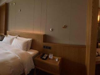 Yunnan Daweishan Jinjiang Resort Hotel - 3