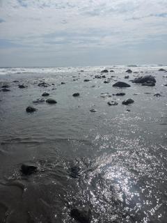 Rancho Genesis Long Beach - 9