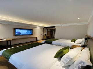GreenTree Inn Luoyang Railway Station Wangfujing Wangcheng Park - 5