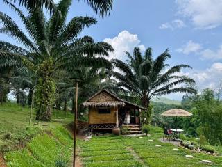 Or Jao Khaosok Kitchen and Camp - 9