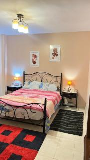 Cozy One bedroom apartment - 8