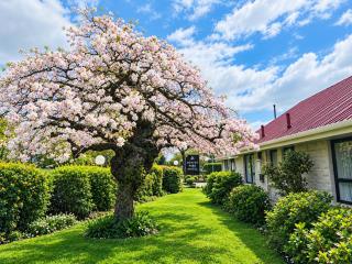 Awatea Park Motel - 7
