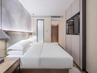 Borrman Hotel Nanning Heng County Jasmine - 8