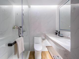 Borrman Hotel Nanning Heng County Jasmine - 3