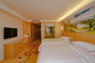 Vienna Hotel Chengdu Chadianzi Toursim Center - 5