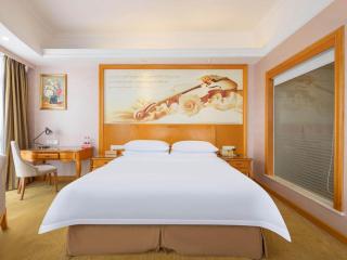 Vienna Hotel Guangdong Dongguan Chengnan Station - 5