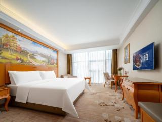 Vienna Hotel Guangdong Dongguan Humen High-Speed Railway Station - 7