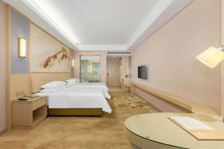 Venus International Hotel Guangdong Foshan Longjiang Exhibition Center 2nd Branch - 3