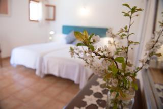 Agroturisme Perola - Only Adults - Llucmajor - 1