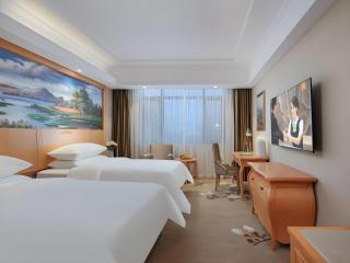 Vienna Hotel Qinghai Dachaidan - 4