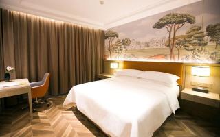 Vienna Hotel Jinan Beiyuan Street Red Star Macalline - 8