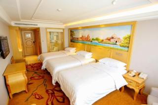 Venus International Hotel Heilongjiang Qiqihar Longhua Road Middle Ring Dashan New Market - 8