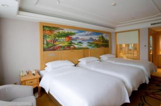 Venus International Hotel Heilongjiang Qiqihar Longhua Road Middle Ring Dashan New Market - 2