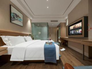 GreenTree Alliance Hotel Chongqing Nanping Wanda Plaza - 4