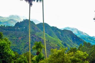 New Dawn View Home Stay - 9