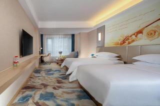 Vienna Hotel Chengdu Xinjin Old Pier Liujianian Metro Station - 6